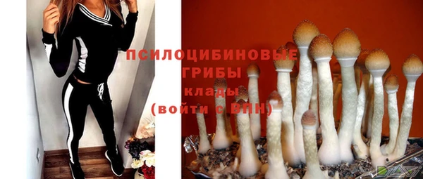 соль ск Новодвинск