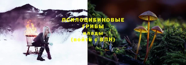 соль ск Новодвинск