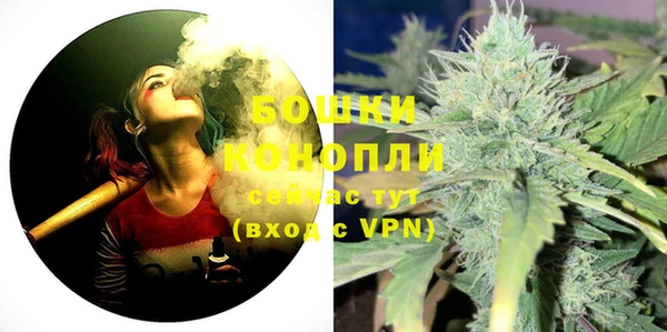 соль ск Новодвинск