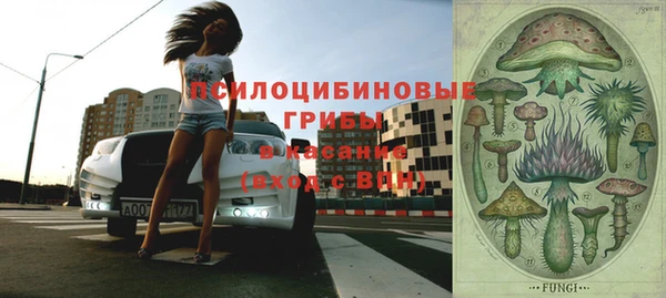 соль ск Новодвинск