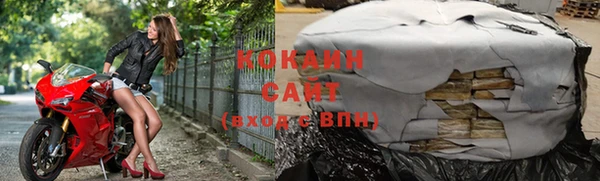 соль ск Новодвинск