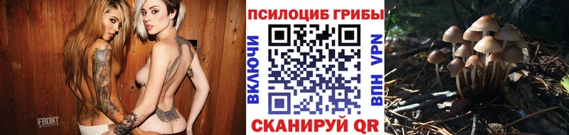 mega зеркало  Североморск  Псилоцибиновые грибы мицелий 